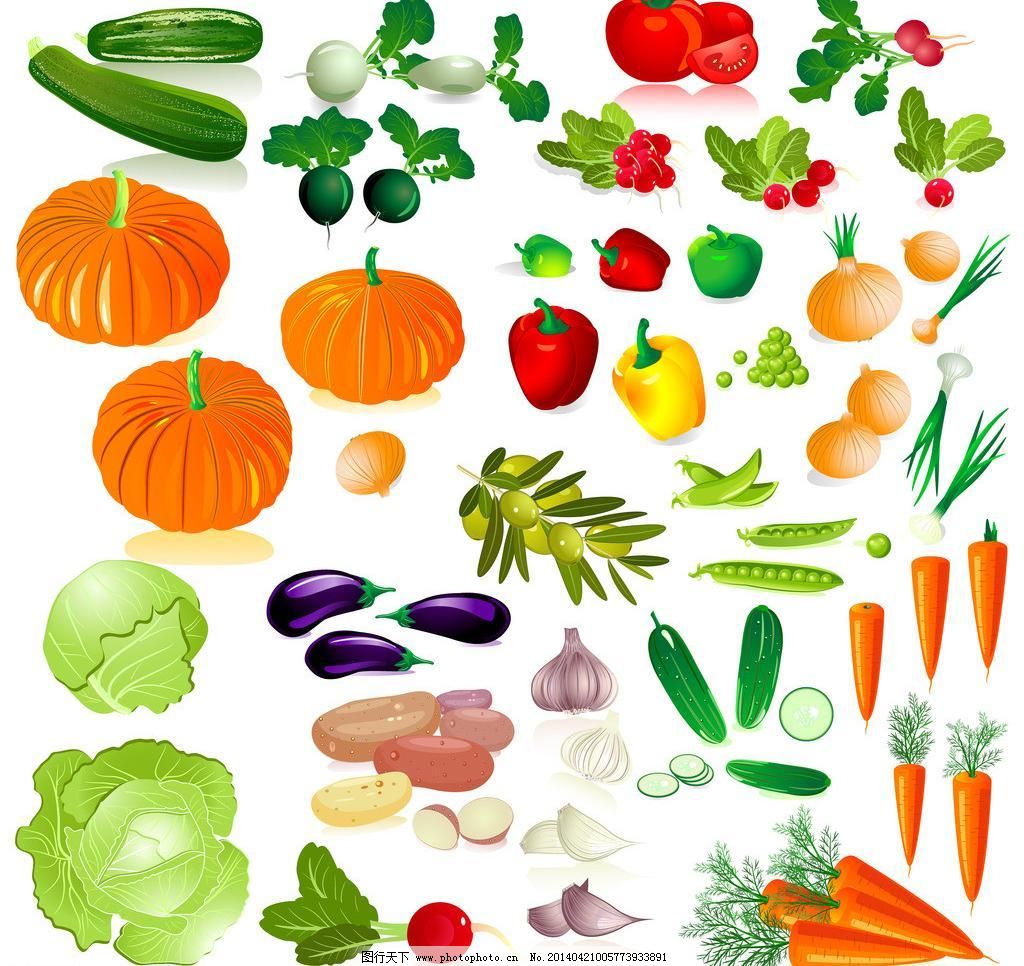 蔬菜之美 大蒜、番茄、橄欖、胡蘿卜與黃瓜的營養(yǎng)與烹飪探秘