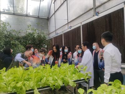 贛勁十足 昌南爭先——江西高速服務(wù)區(qū)因地制宜實(shí)現(xiàn)華麗蝶變