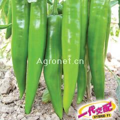 蔬菜與個人健康 如何善用蔬菜網(wǎng)產(chǎn)品庫打造均衡飲食