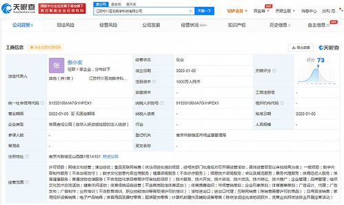 蘇寧布局數字科技新賽道 成立科技公司，涉足演出經紀與數字內容服務